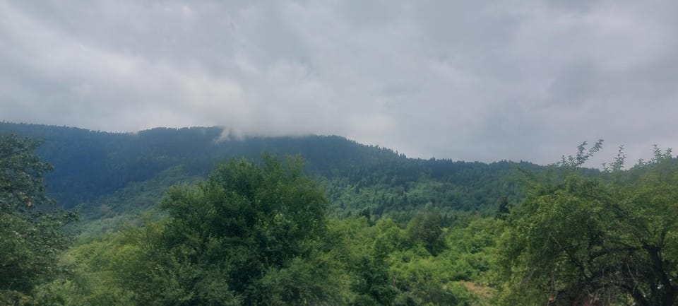 dizi-karvari Bed and Breakfast in Georgia