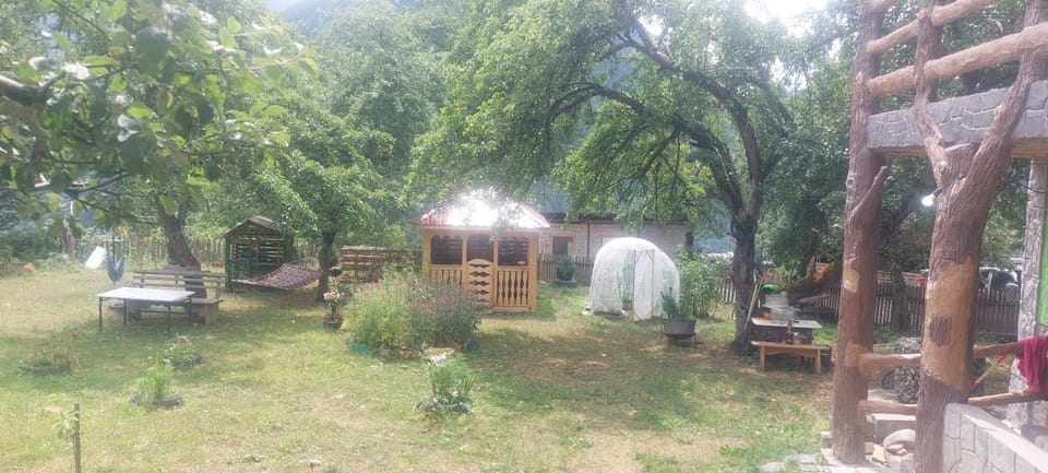 dizi-karvari Bed and Breakfast in Georgia