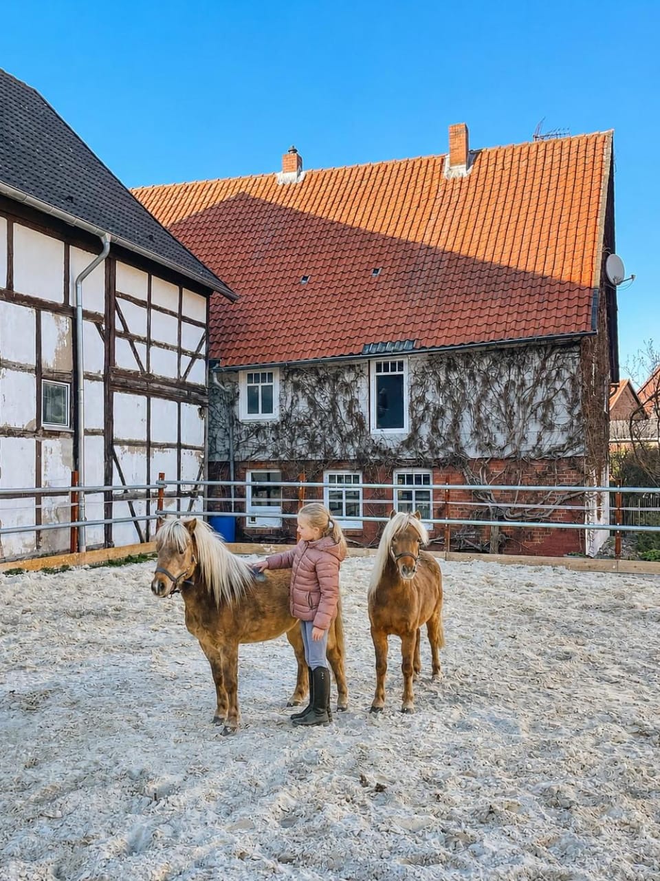 Horse-riding, Animals