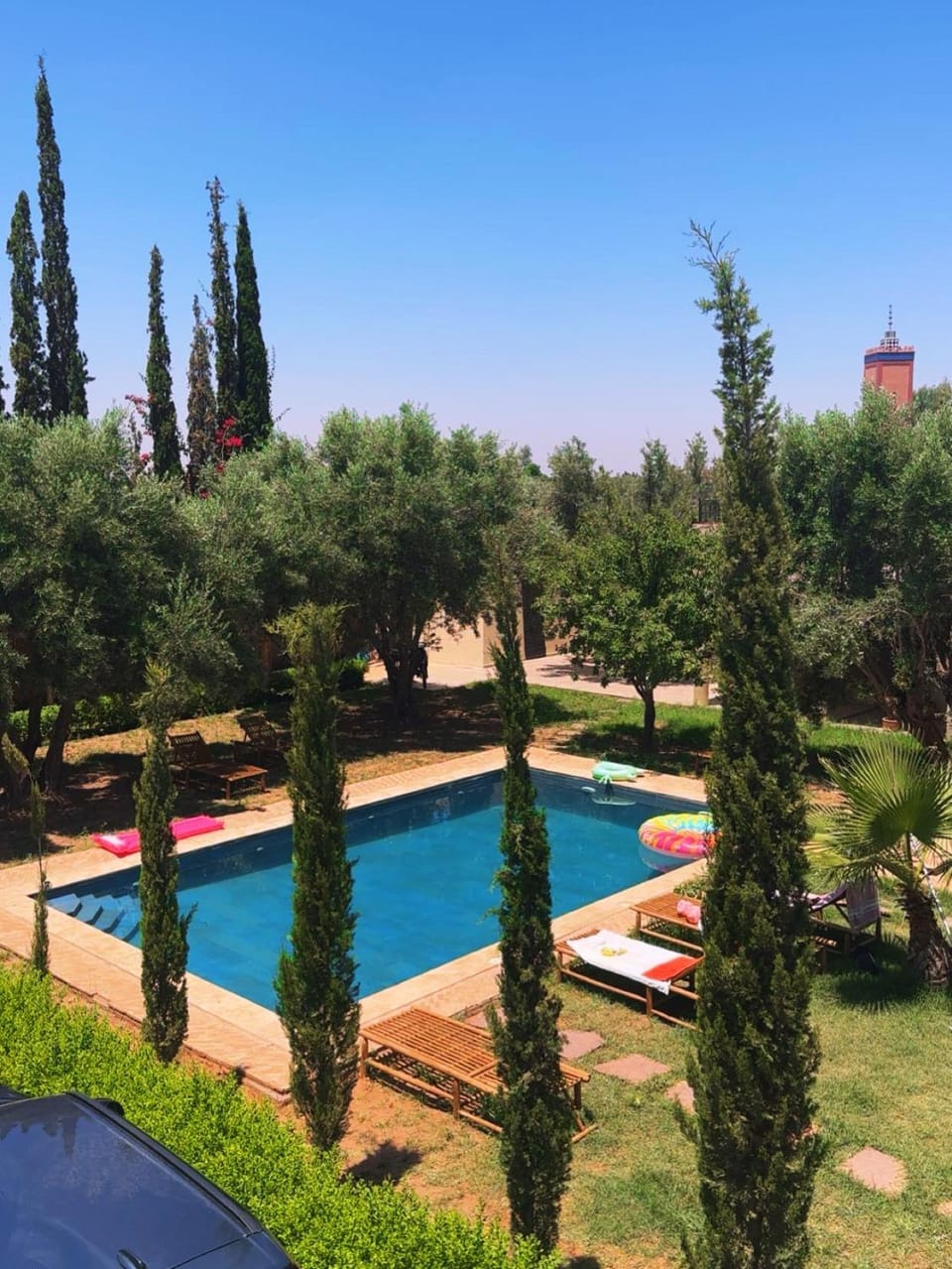 Natural landscape, Garden, Pool view, Swimming pool