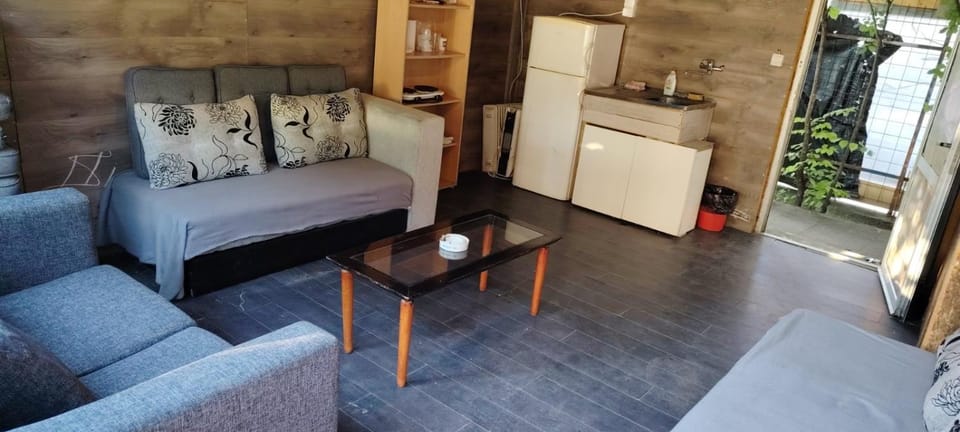 Chill kuća na obali Save sa splav kućicom House in Belgrade