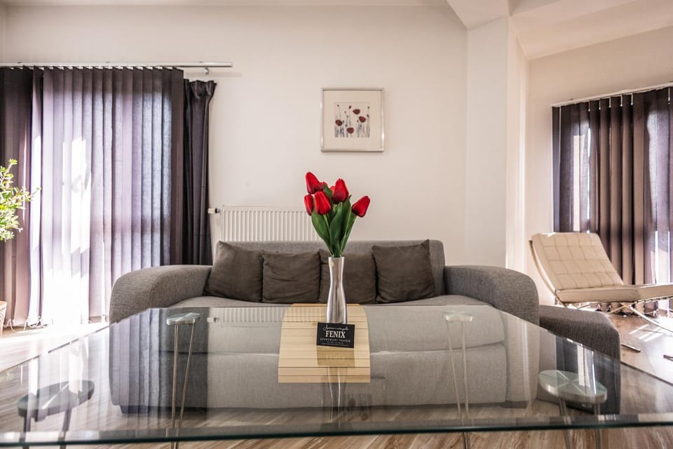 Fenix-Zana apartman Apartment in Serbia