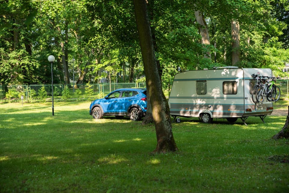 Camping ZAMEK C1 Campground/ 
RV Resort in Poland