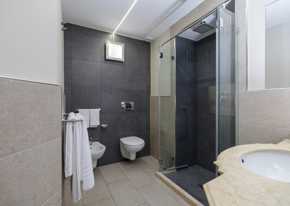 Shower, Toilet, Bathroom, bidet