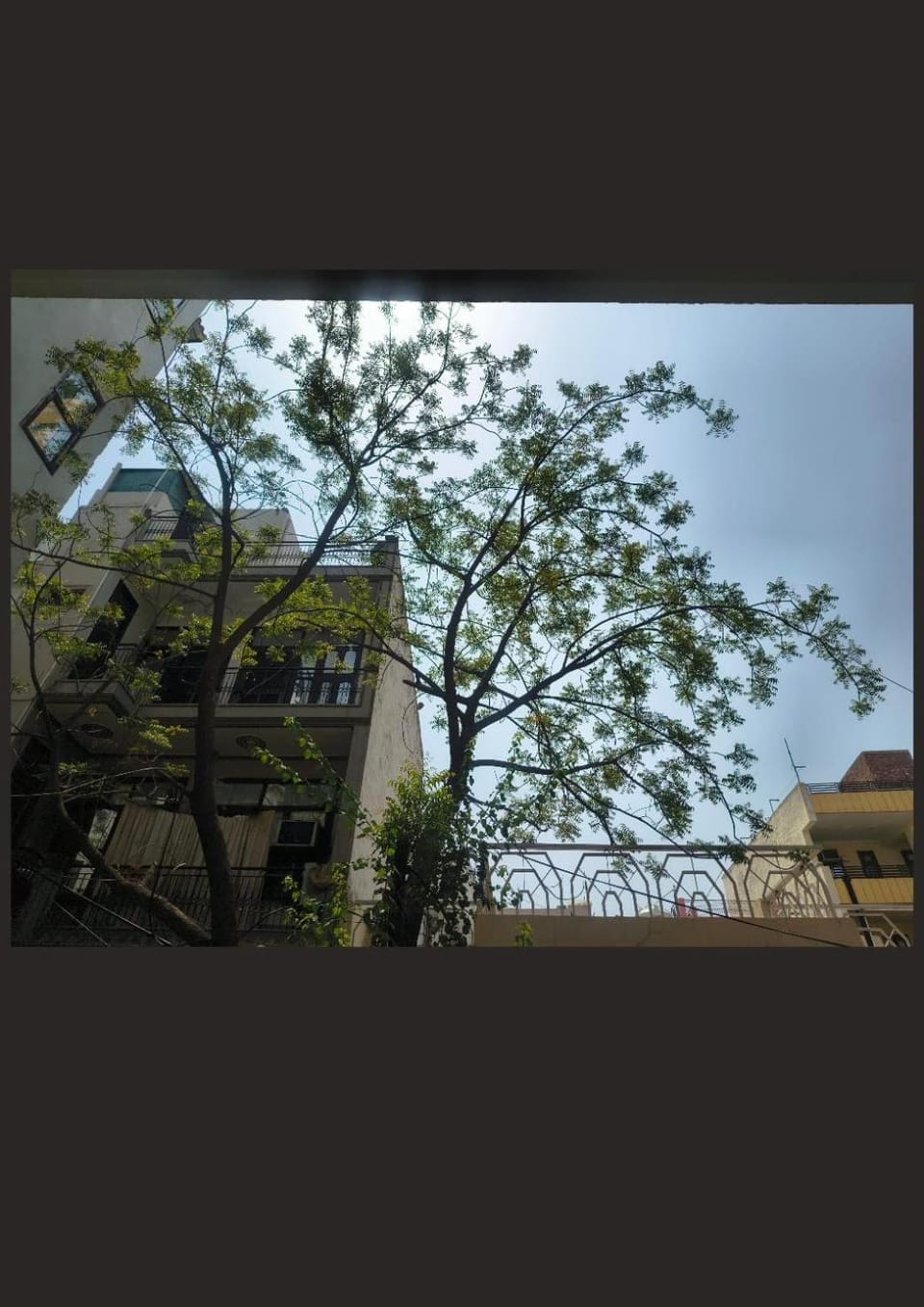 View (from property/room)