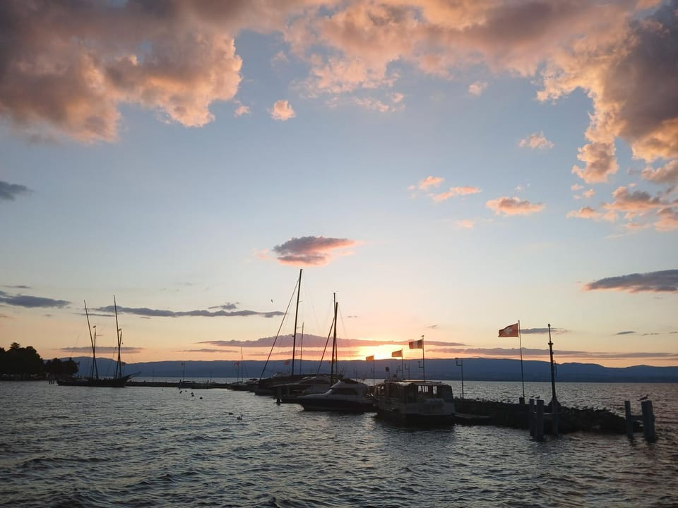 Lake view