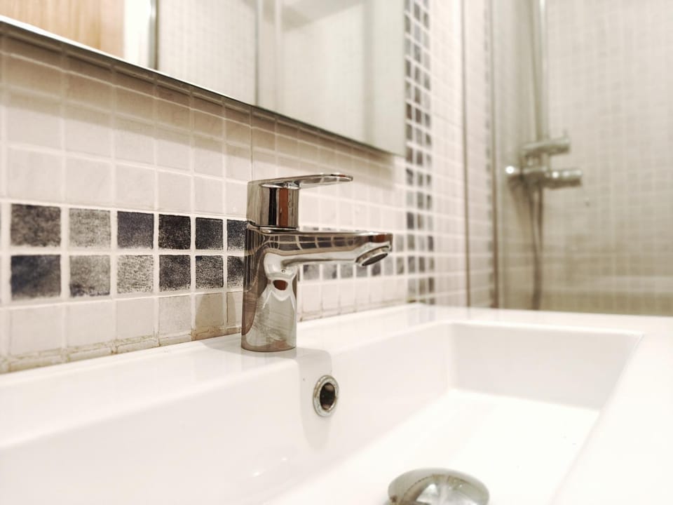Loft en Sant Joan de les Abadesses, Girona Apartment in Sant Joan de les Abadesses