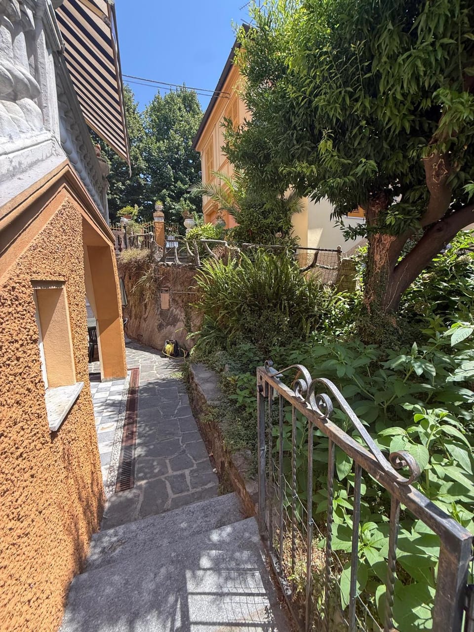 Property building, Spring, Day, Neighbourhood, Garden, Garden view, Street view