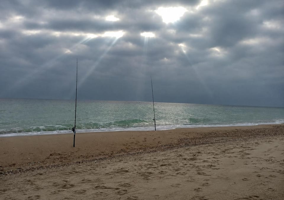 Natural landscape, Beach, Sea view