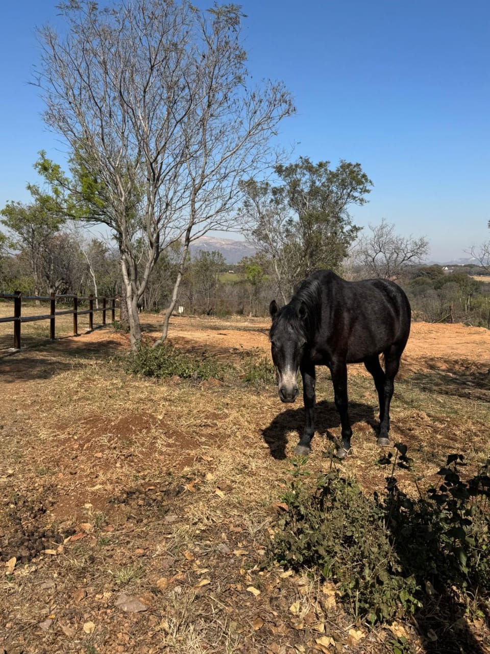 Villa Euris Guesthouse Bed and Breakfast in North West, South Africa