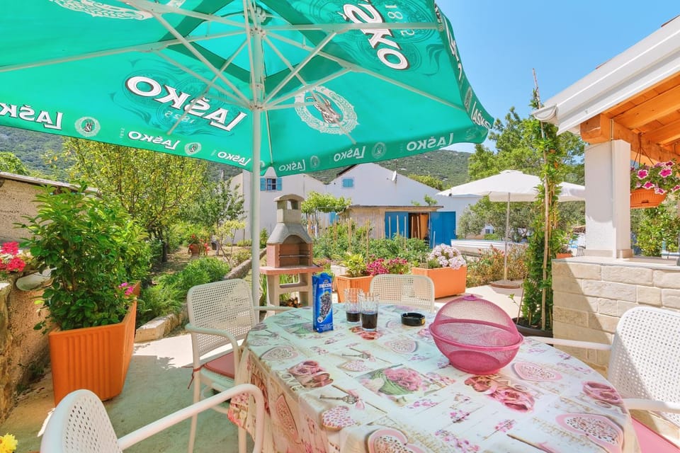 Day, Garden, Garden view
