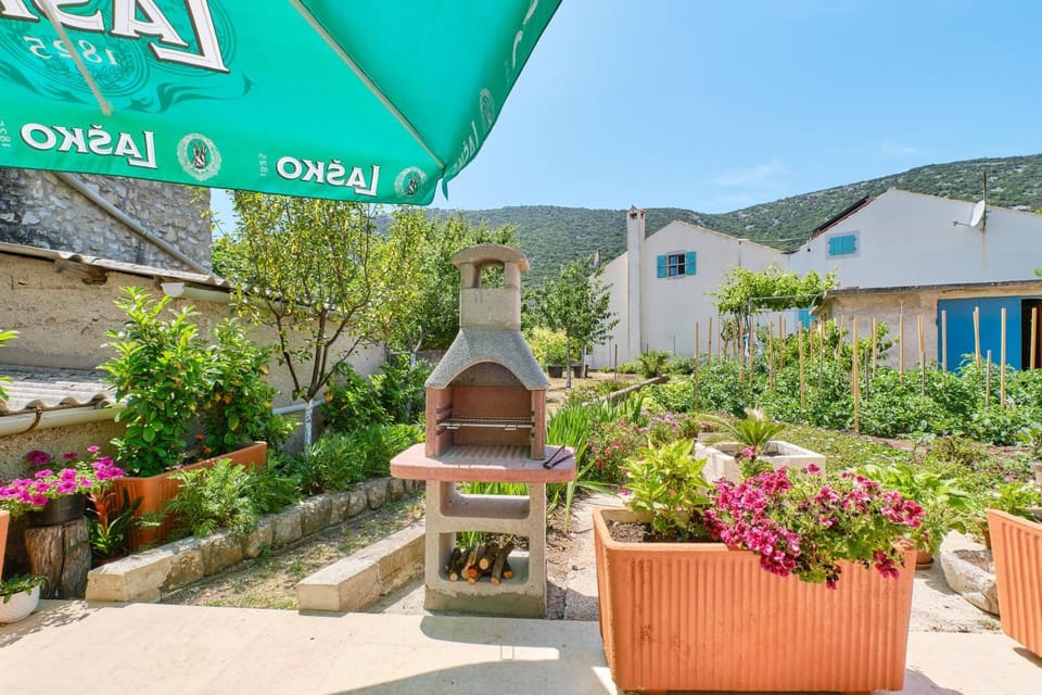 Patio, Day, Garden, Garden view