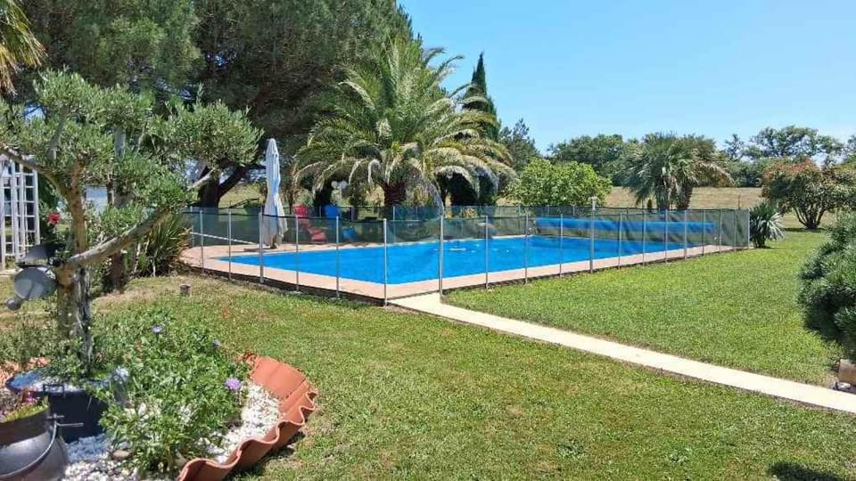 Garden view, Swimming pool, sunbed