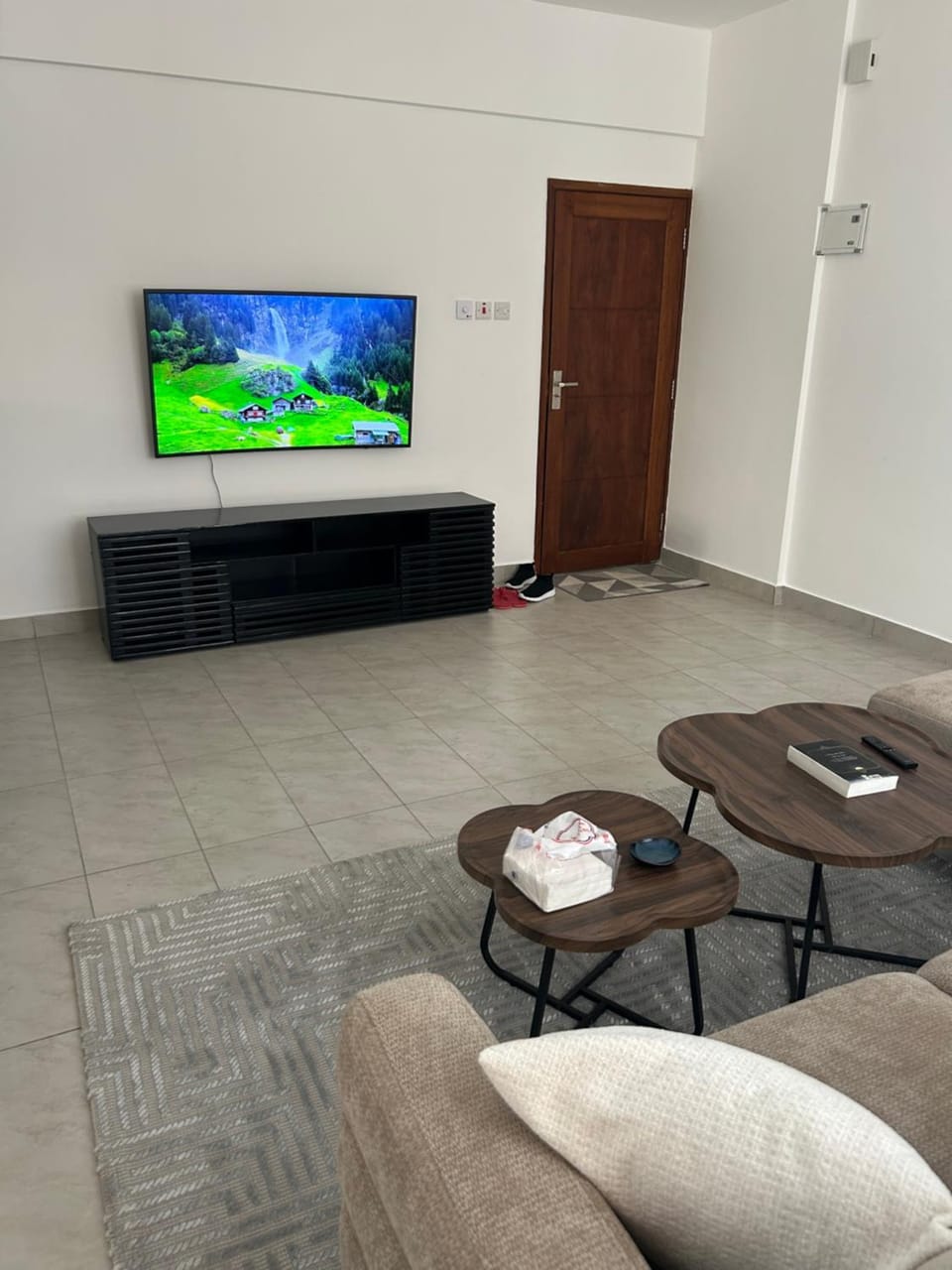TV and multimedia