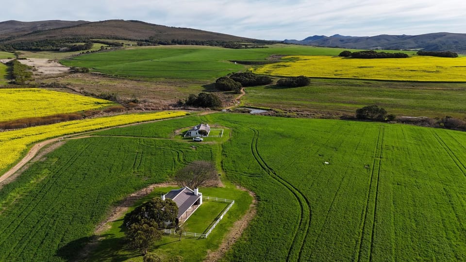 Nearby landmark, Spring, Day, Neighbourhood, Natural landscape, Bird's eye view, Mountain view