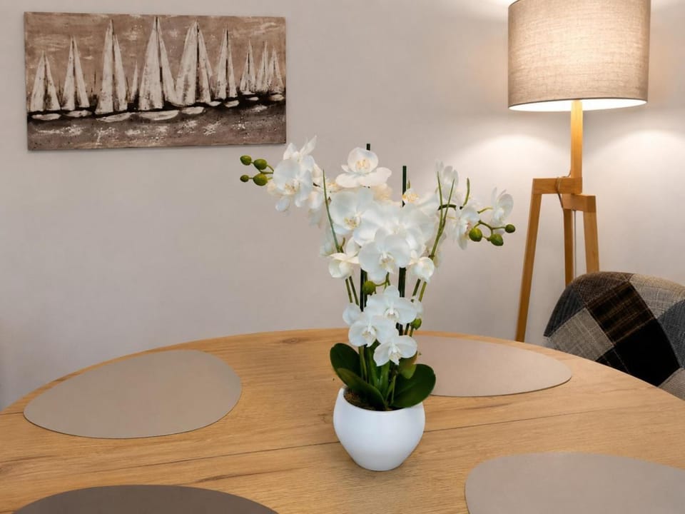 Casa Aaron Apartment in Torrevieja