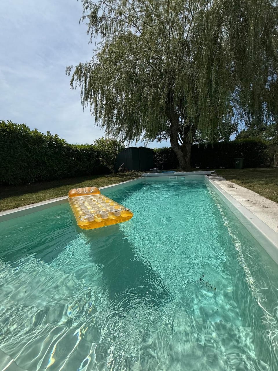 Garden, Pool view, Swimming pool, sunbed