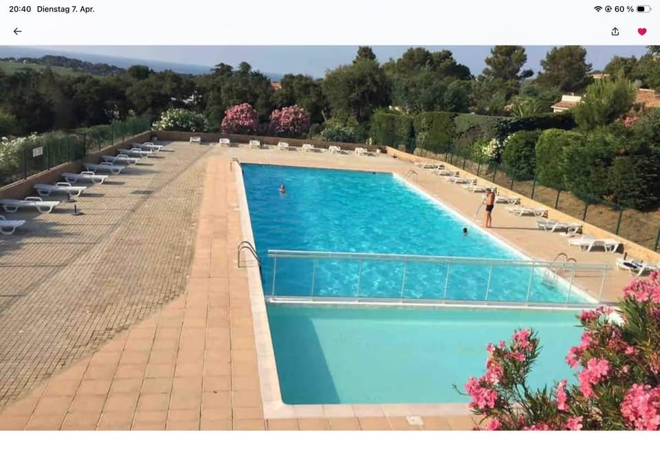 Swimming pool, sunbed