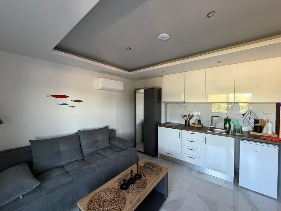Olympiada 224 Apartment in Decentralized Administration of Macedonia and Thrace