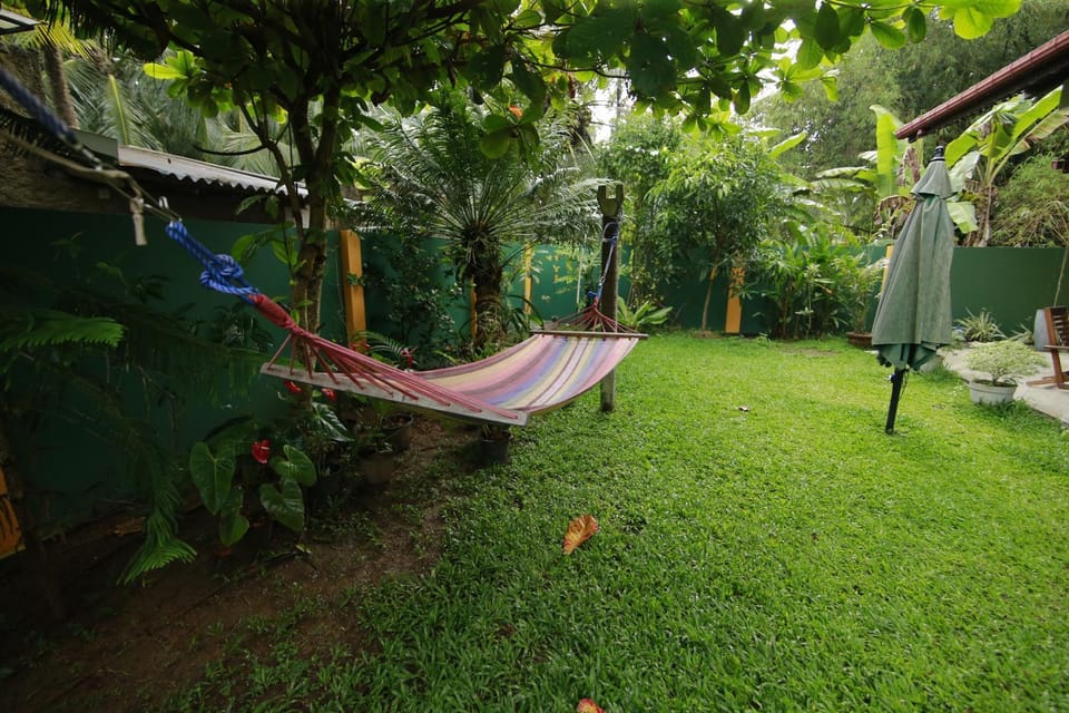 Natural landscape, Garden, Garden view