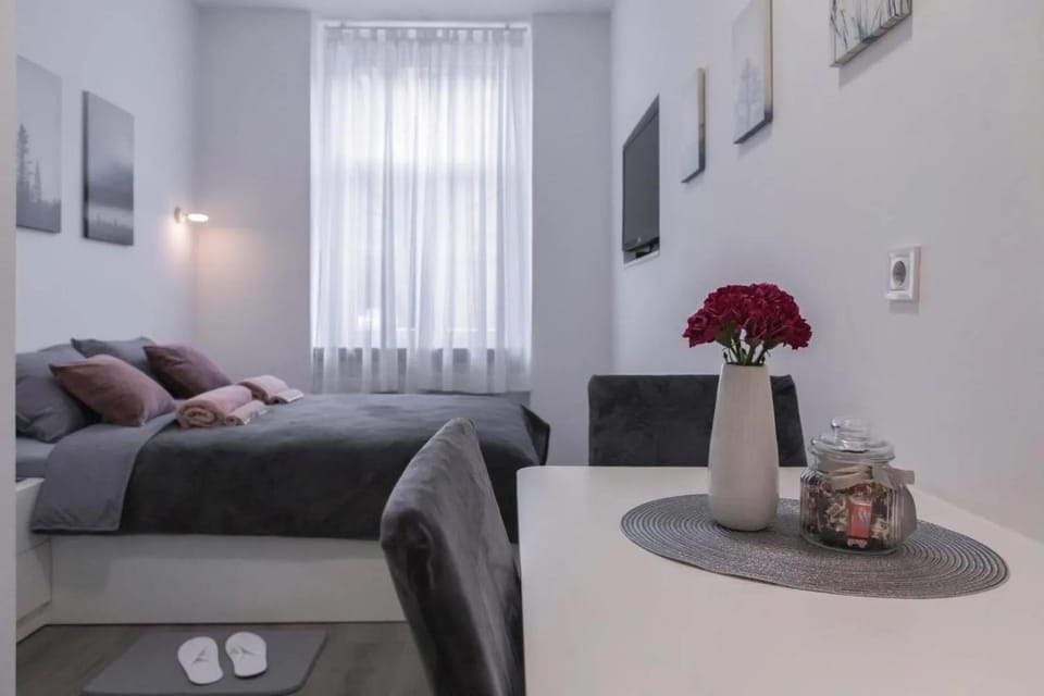 Apartment Hebrangova Apartment in City of Zagreb