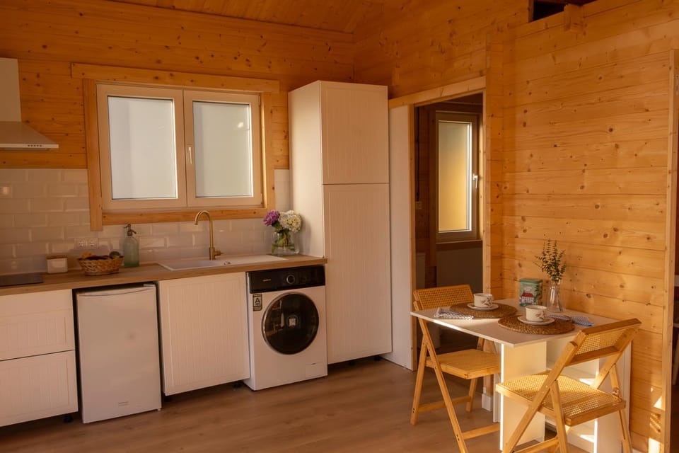 Kitchen or kitchenette, Dining area, washing machine