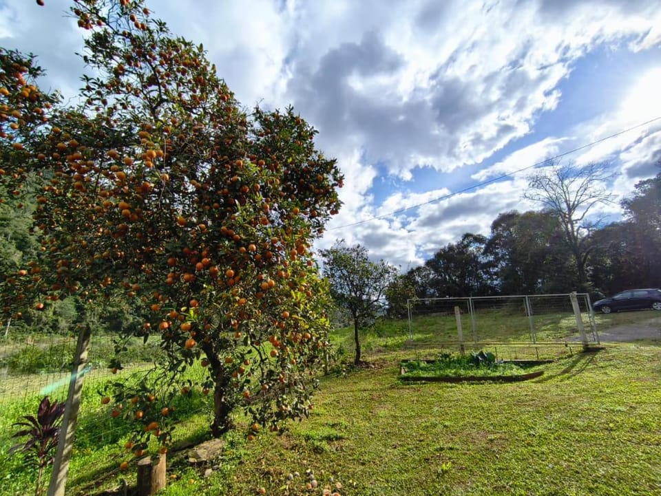 Casa com Hidro, pátio cercado e acesso ao Rio House in State of Santa Catarina
