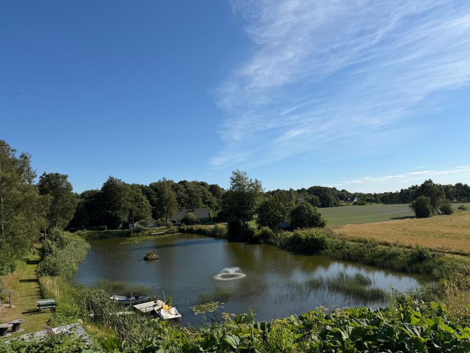 Lake view