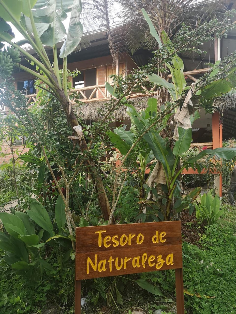 FONDATION Trésor de Nature Farm Stay in Napo, Ecuador