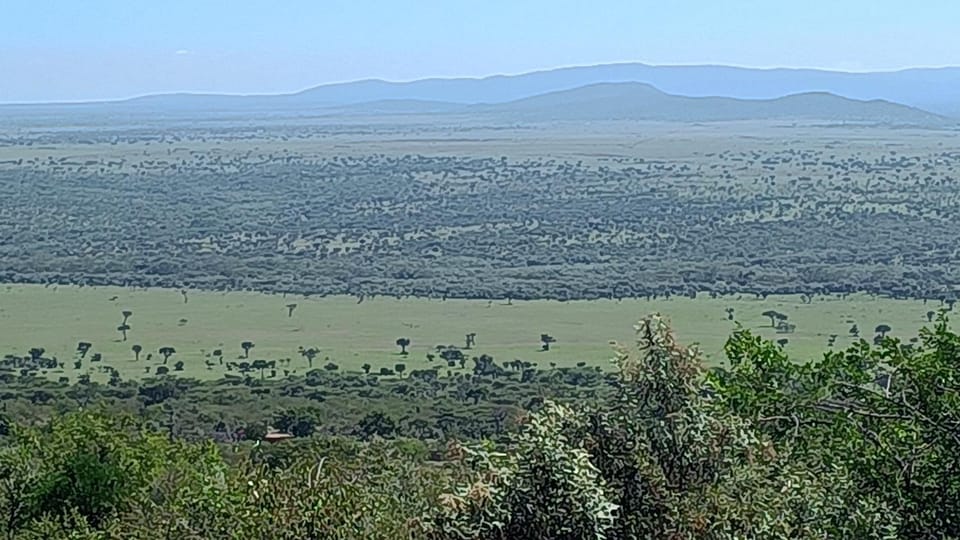 Natural landscape