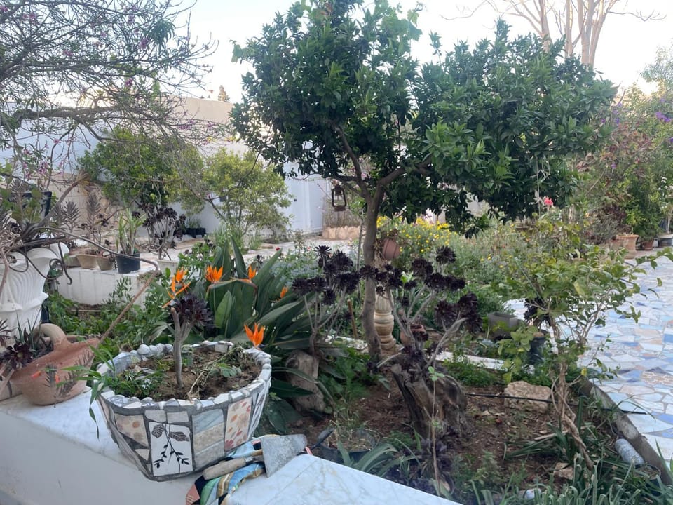 Maison Souad Guest House Apartment in Sousse Governorate, Tunisia