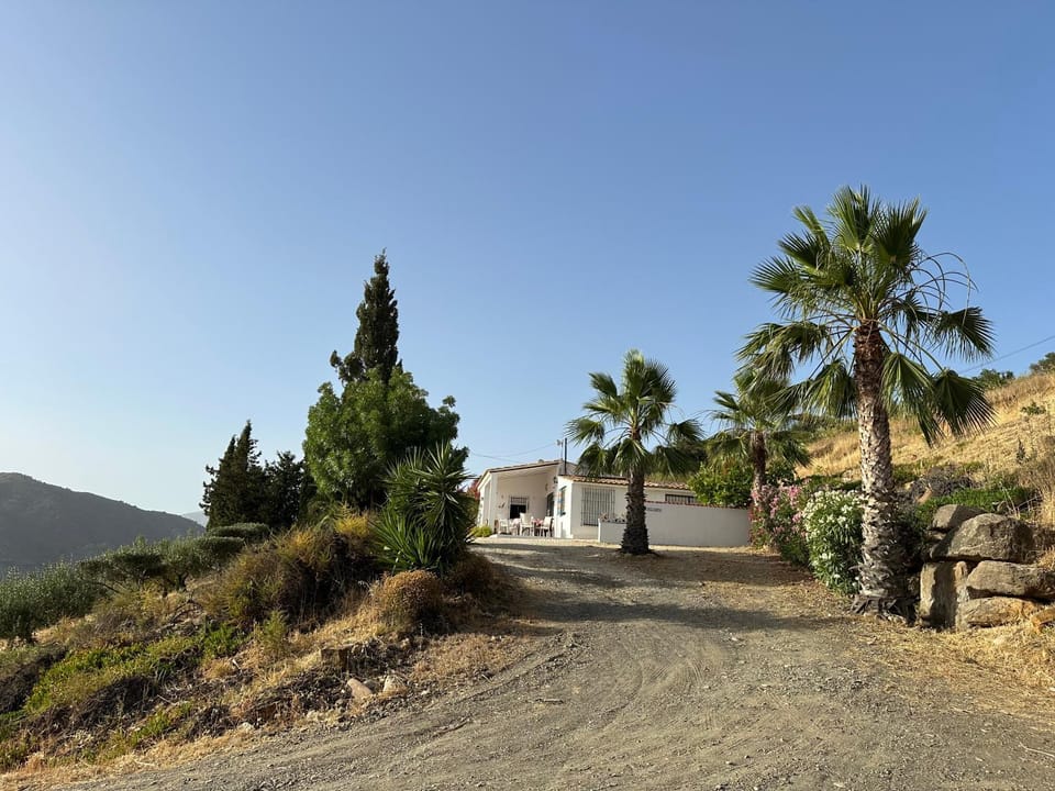 Property building, Natural landscape, Garden