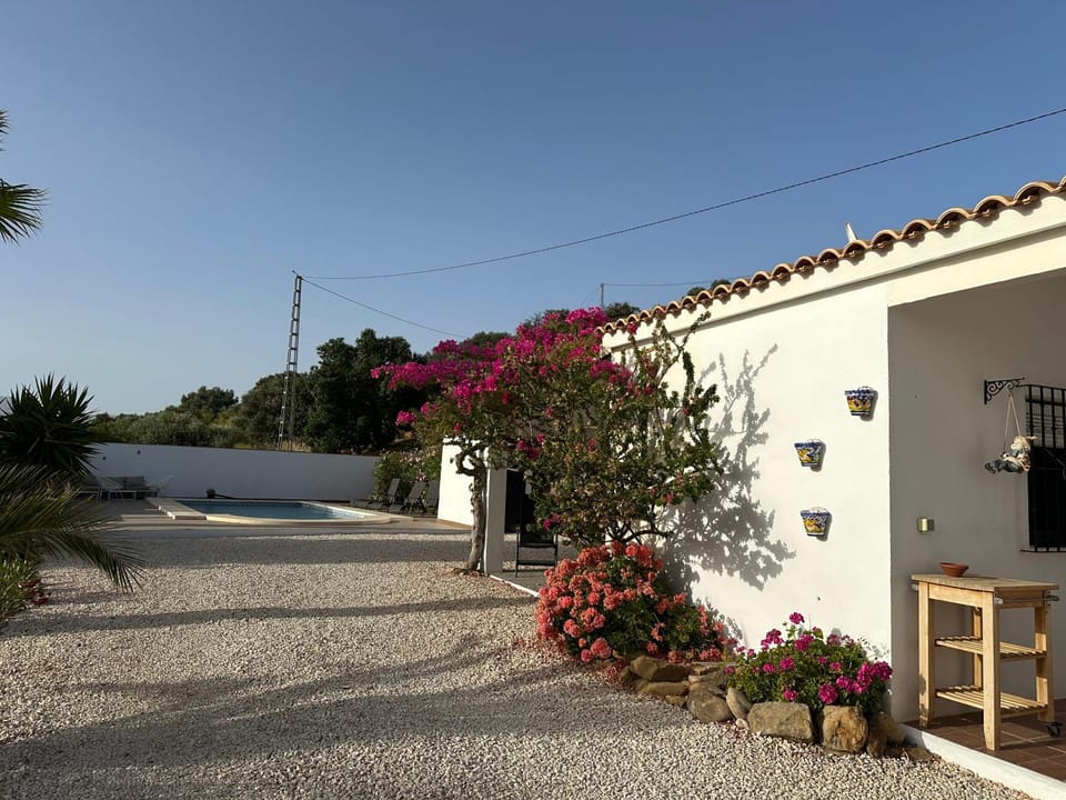 Property building, Garden, Garden