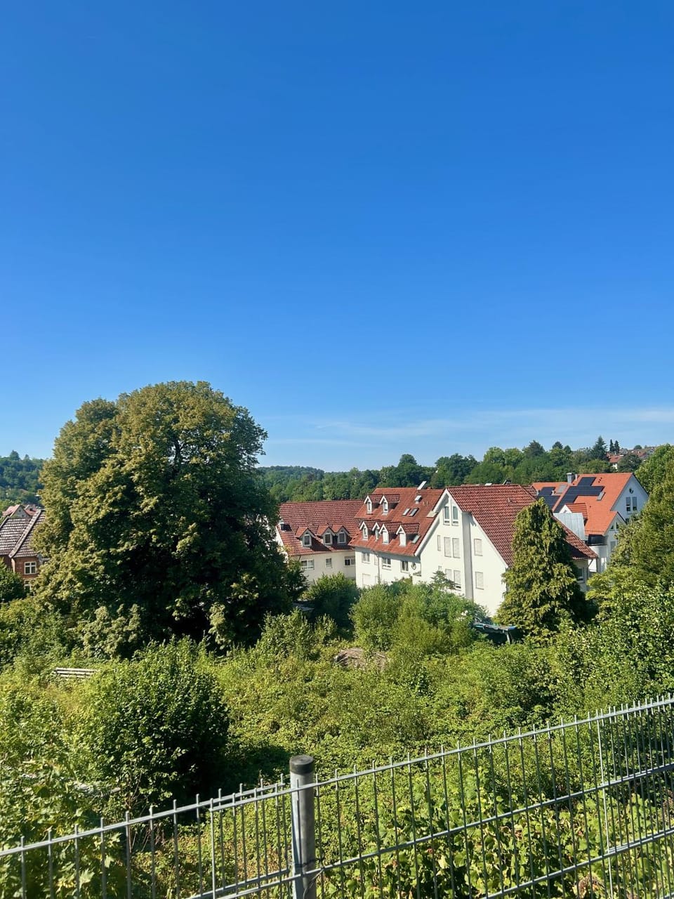 View (from property/room)