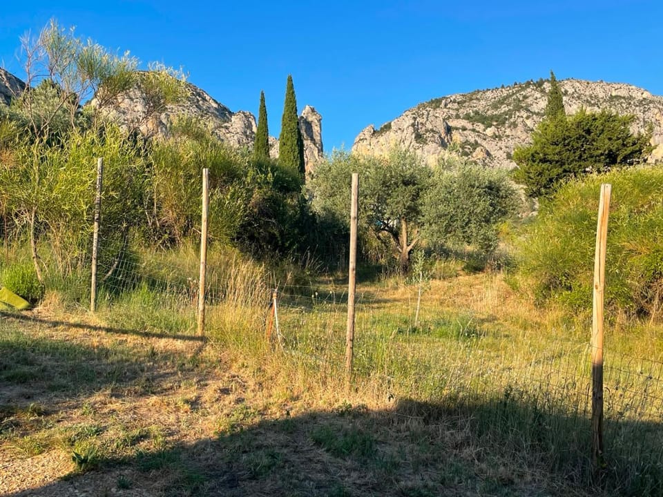 Le Patio Bed and Breakfast in Provence-Alpes-Côte d'Azur