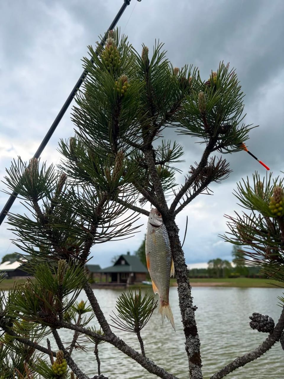 Natural landscape, Fishing, Lake view