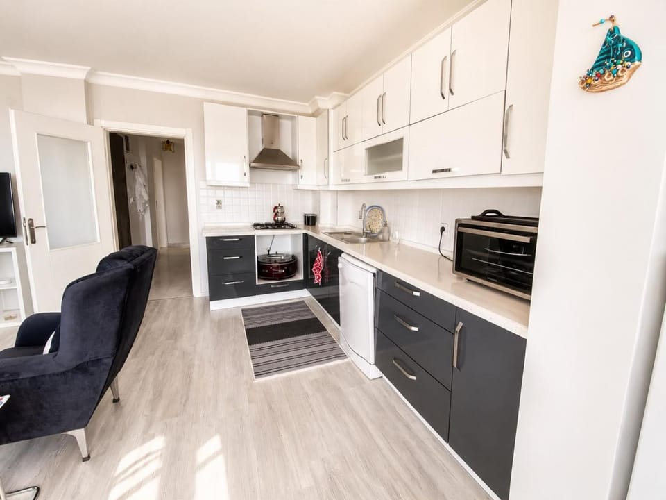 Kitchen or kitchenette, dishwasher, oven, stove