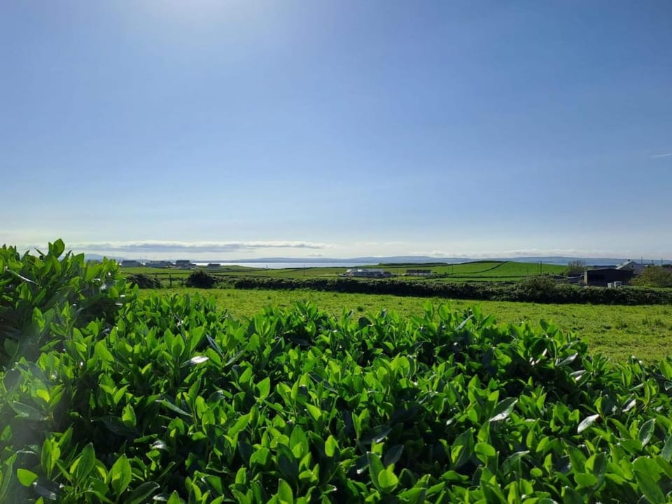 Natural landscape