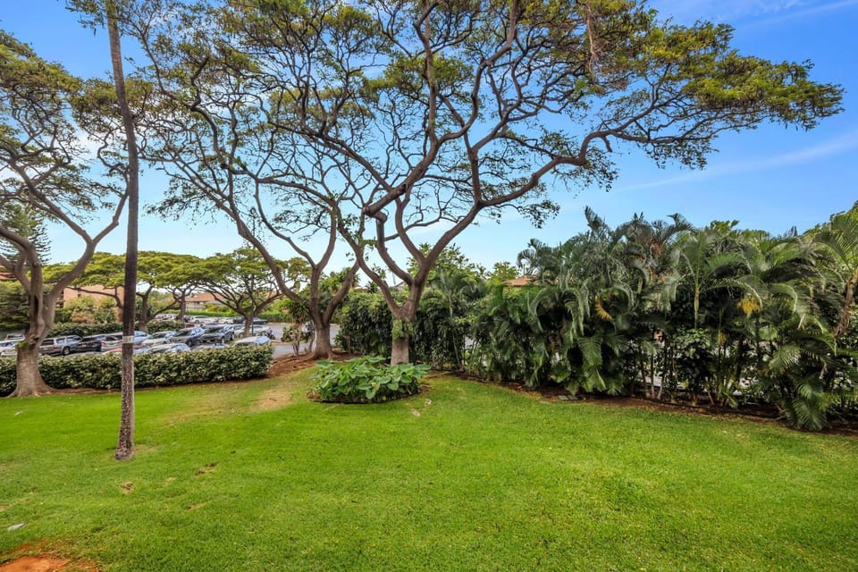 Natural landscape, Garden view