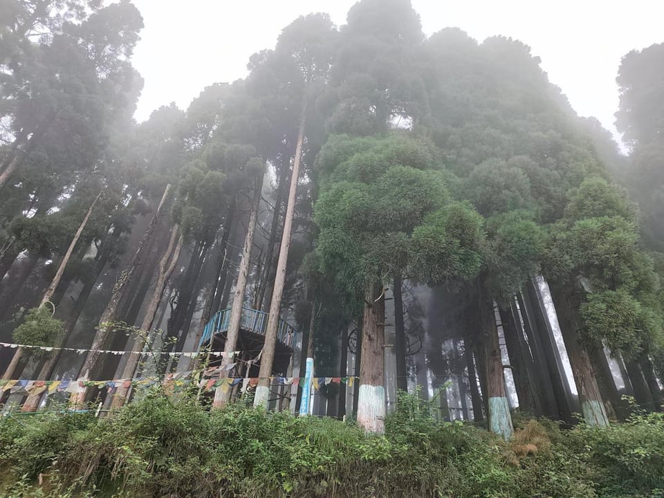 Margaret's Himalayan Nest Vacation rental in West Bengal