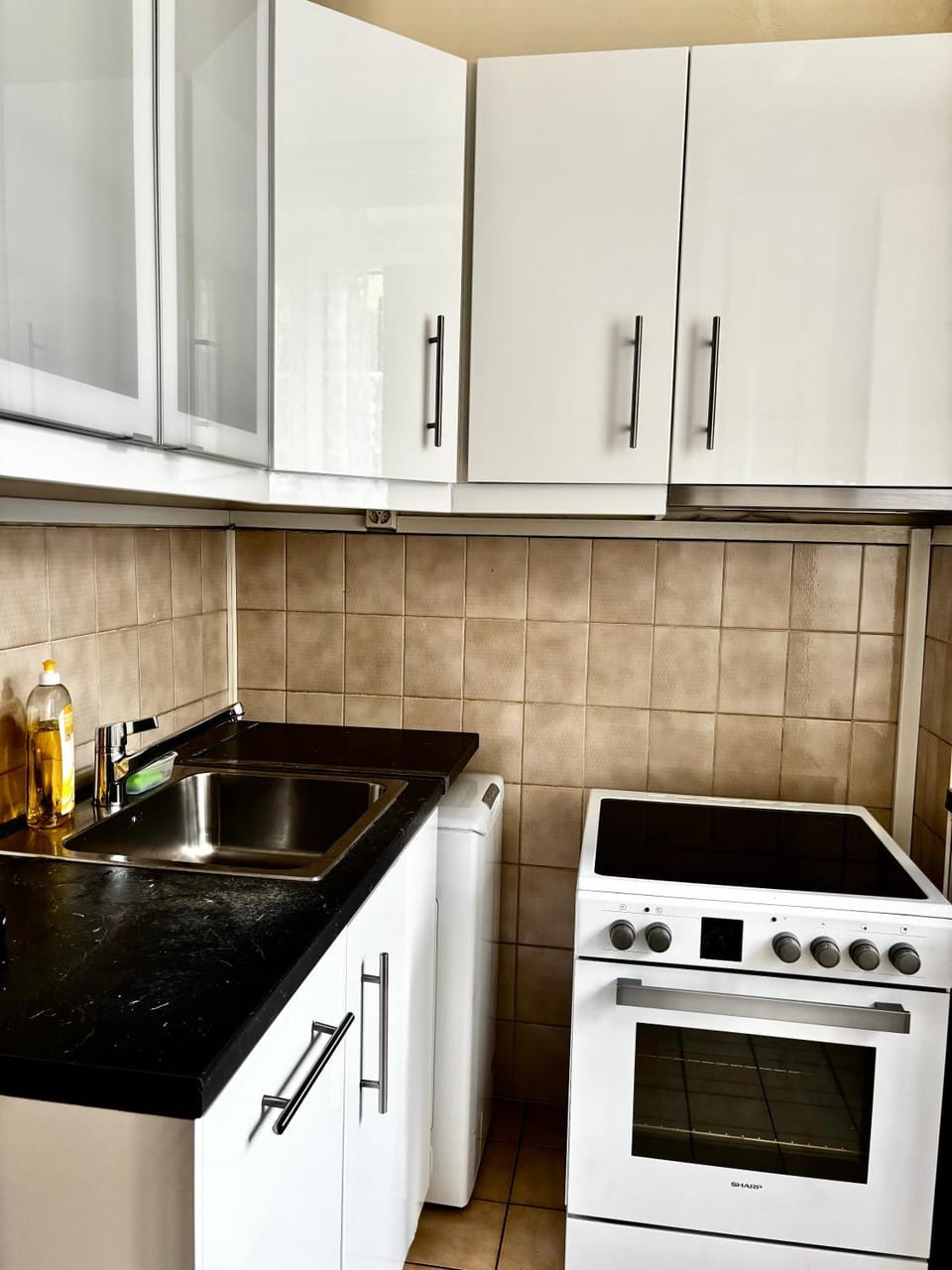 Confortável apartamento Apartment in Geneva
