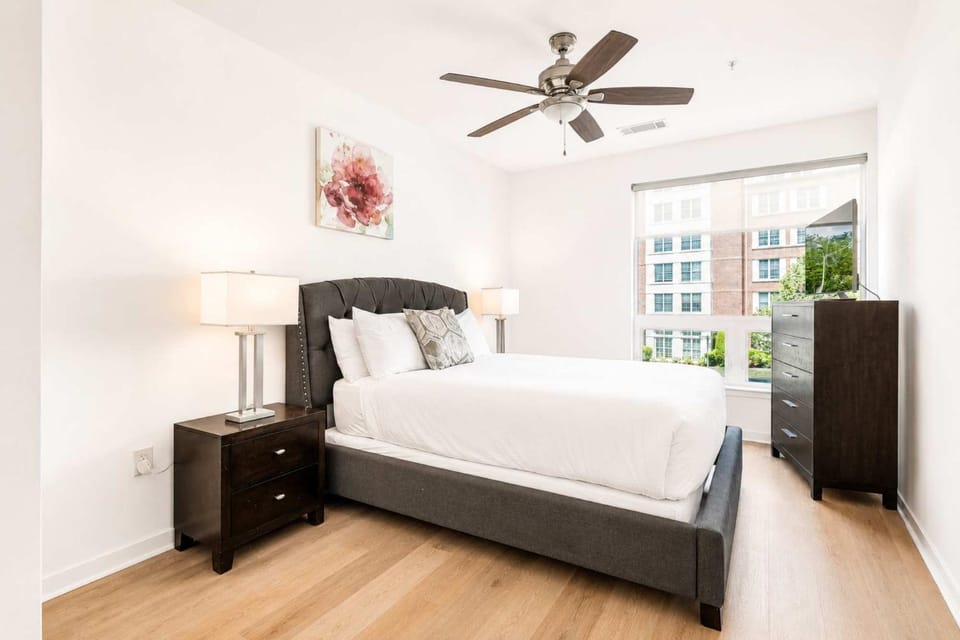 Luxury Apt Downtown with Pool & Gym Apartment in Stamford