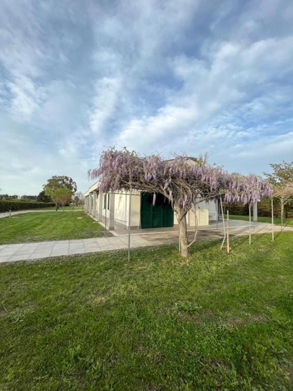 Garden view