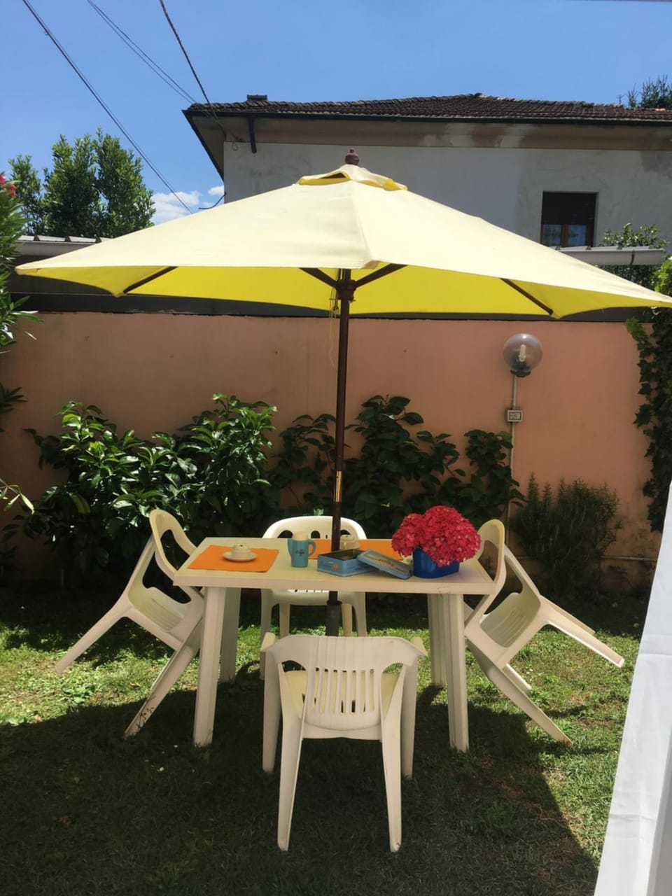 Patio, Garden