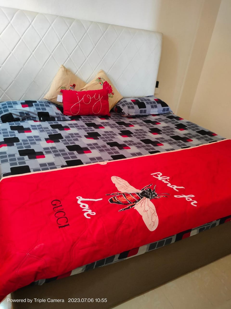 call NinSvnOneSvnFor NinFivForNinFor for stay in 2 bhk Sector 102, Gurgaon on Dwarka Expressway Apartment in Gurugram