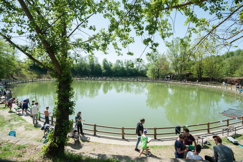 Lake view