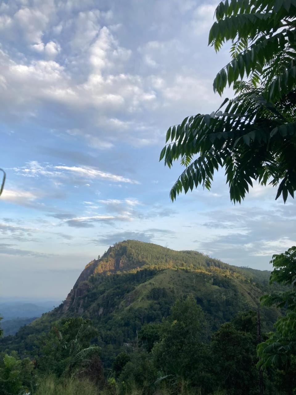 Mountain view