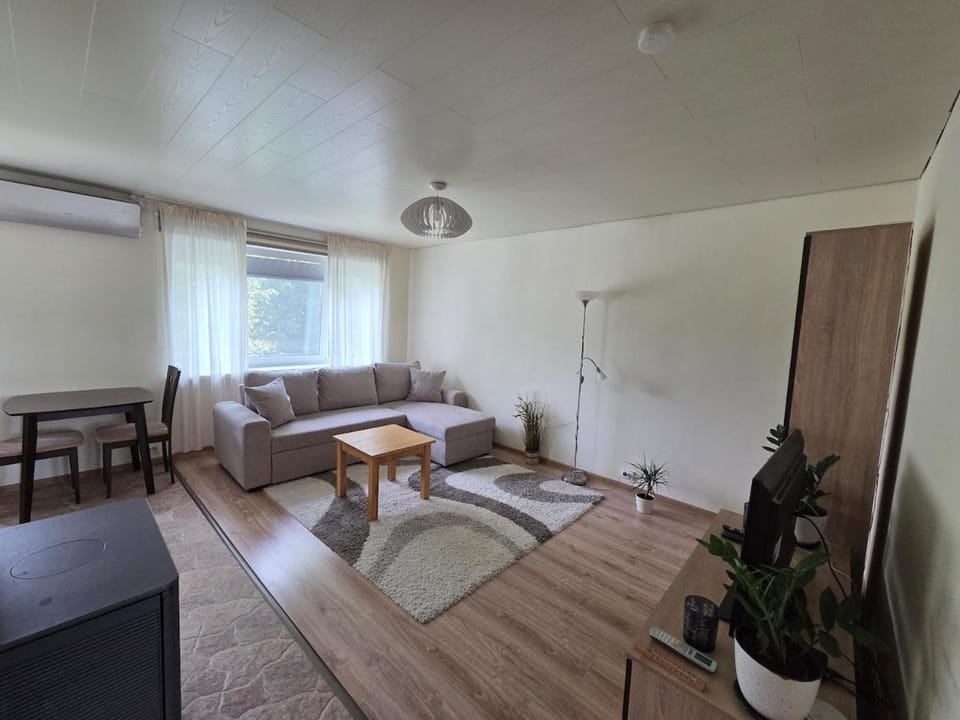 Cozy home with fireplace and open-plan kitchen Apartment in Estonia