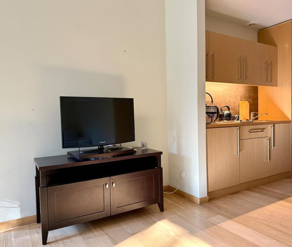 TV and multimedia
