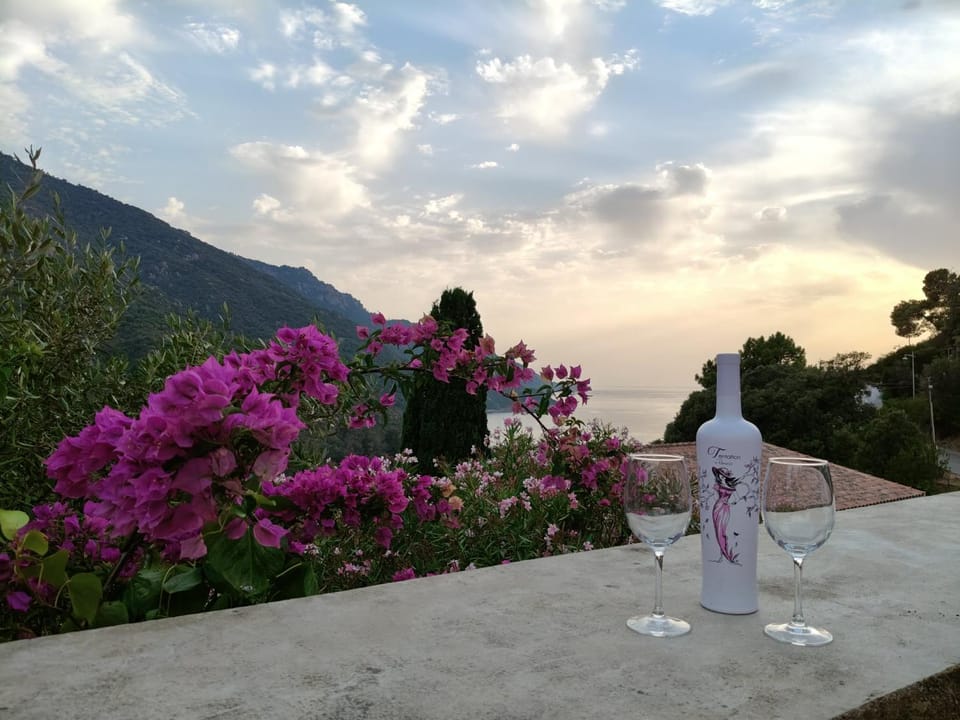 Balcony/Terrace, Food and drinks, Alcoholic drinks, Sunrise